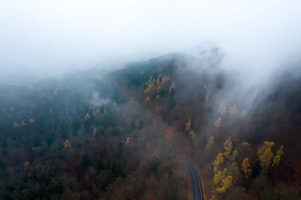 Wald Den Bergen Und Hügel Dichten Nebel Morgen Herbst — Stockfoto