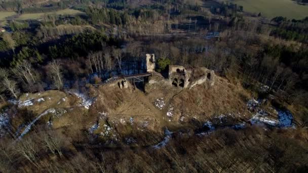 チェコ共和国の森林に囲まれた丘の上に建てられたズッテヘン遺跡 ドローンビュー — ストック動画