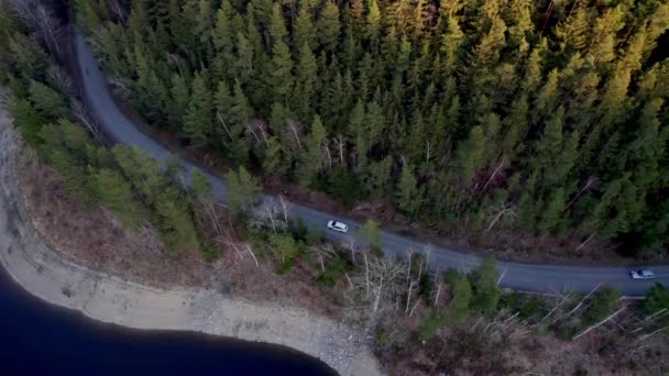 日落时在河与森林之间的路上行驶的汽车 — 图库视频影像