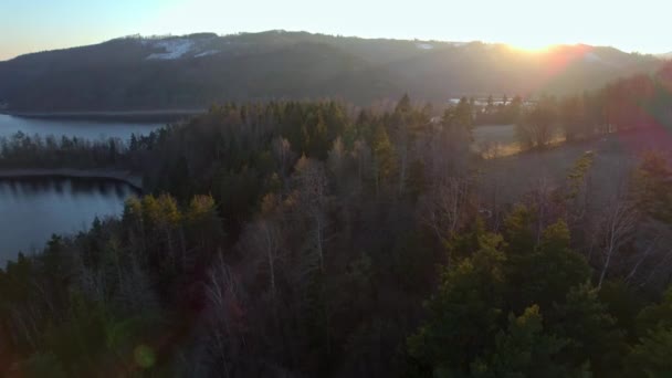 Romantischer Flug Über Die Landschaft Der Nadelwälder Den Bergen Drohne — Stockvideo