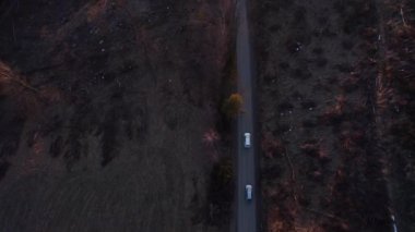 Arabaları ağaçlarla dolu bir tepede romantik bir yolculuğa çıkarmak ve akşamları gün batımında devrilmiş yerler.