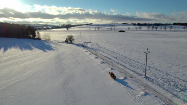 在一场戏剧性的落日中 马牵着雪橇和骑手在冬季雪地的乡间风景上驰骋 — 图库视频影像