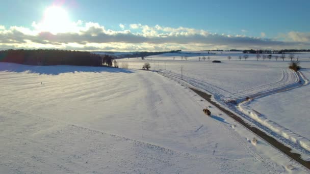 Zimowe Sanie Narysowane Przez Konie Pięknym Śnieżnym Krajobrazie Słońcem Świecącym — Wideo stockowe