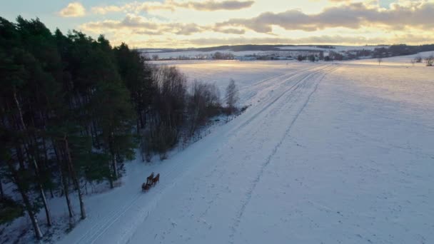 Dron Střílel Saních Tažených Koňmi Zasněžené Stezce Vedle Lesa Chladného — Stock video