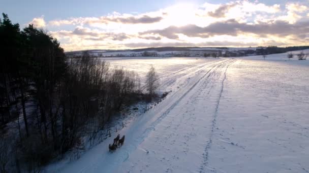 Slitta Trainata Cavalli Paesaggio Invernale Con Neve Che Cade Una — Video Stock