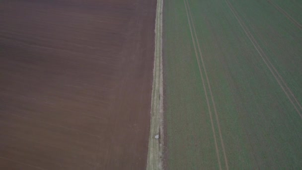 Een Vuiligheid Rijweg Verdeelt Een Geploegd Bezaaid Veld Een Koude — Stockvideo