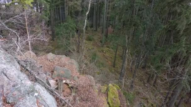View Rock Deep Forest Path Few Men Trip — Stock Video