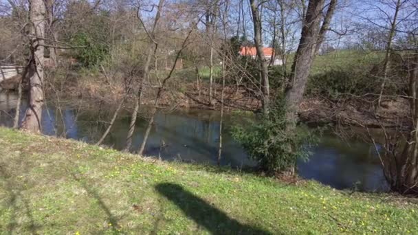 Stromende Rivier Olomouc Park Een Zonnige Lentedag Kust Met Bomen — Stockvideo
