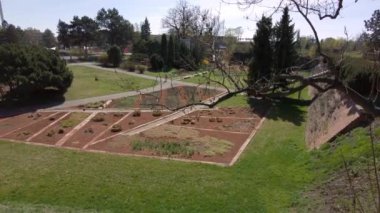 Olomouc şehrindeki botanik bahçesinden Flora, bitkilerle kaldırımlar ve tarlalar, güneşli bir bahar gününde bahçe işçileri.