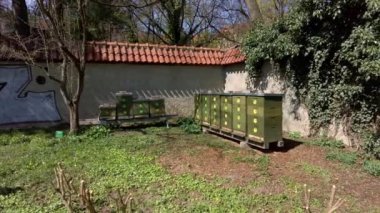 Botanik bahçesindeki arı kovanlarından bir arı çiftliği sakin bir bahar gününde etrafta uçan arılarla - Çek Cumhuriyeti, Olomouc