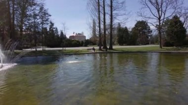 Olomouc şehrinin güneşli bir gününde Çekoslovakya 'daki Smetanovy Sady Gardens Parkı' nda Scenic Lake 'in ilk manzarası