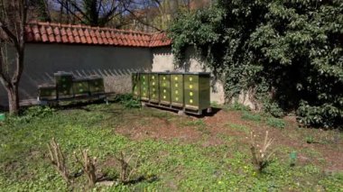 Güneşli bir bahar günü, duvarın yanındaki parkta arı kovanları kurulmuş.