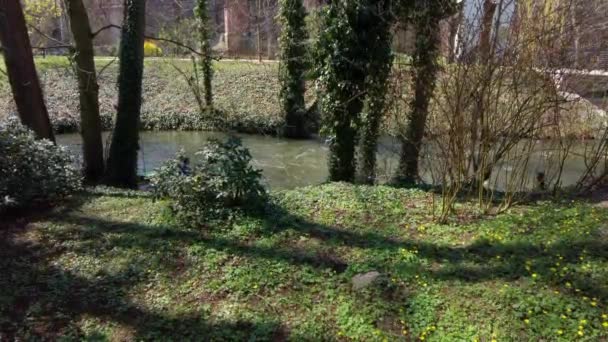 Caiac Amonte Râu Din Orașul Olomouc Țărm Crescut Copaci Tufișuri — Videoclip de stoc