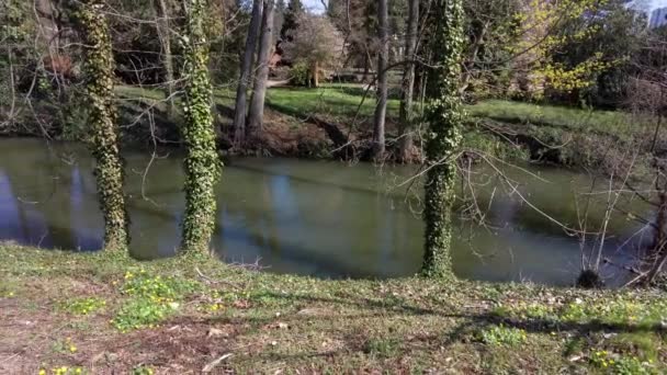 Olomouc República Checa Jardín Botánico Ciudad Morava Durante Festival Flora — Vídeo de stock