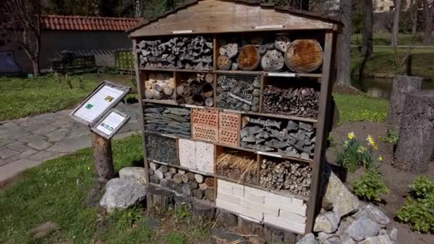 Böcek Otelleri Flora Festivalinde Olomouc Şehrinden Gelen Çeşitli Yaratıklara Barınak — Stok video