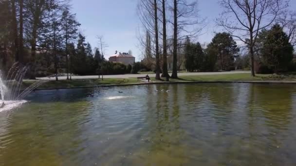 Pohled První Osoby Scénické Jezero Fontánou Slunný Den Olomouci Smetanovy — Stock video