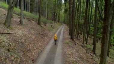 Hebe 'de, Moravsk Tebov kasabası ve Çek Cumhuriyeti' nde Koclov kasabası yakınlarındaki yemyeşil orman boyunca dar çakıl yollarında yürüyen bir adamın hava aracı görüntüsü..