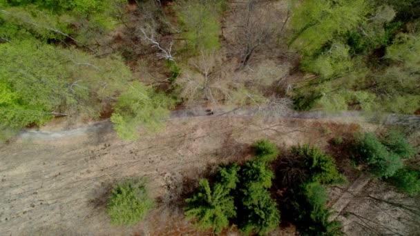 春の日のパス上の混合森林を歩くバックパックを持つ旅行者のグループ ドローンからまっすぐに撃墜 — ストック動画