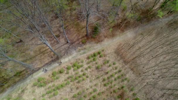 Letecký Pohled Ptačí Perspektivy Les Během Období Sucha Místními Projíždějícími — Stock video