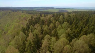 Yoğun yeşil orman ağaçlarının havadan nefes kesici görüntüsü - hava aracı görüntüsü