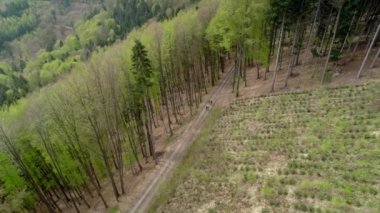 Bir grup arkadaş, güneşli bir bahar gününde dağlarda bir patika boyunca yürür.