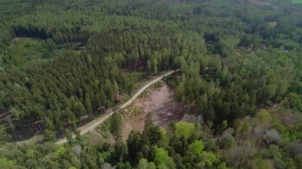 Drone Aéreo Tiro Caminho Estreito Que Atravessa Densa Floresta Verde — Vídeo de Stock