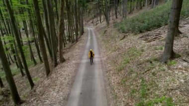 Sarı paltolu bir kadının orman ve orman zeminindeki patikada yürüyüşünün robot görüntüsü