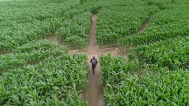 Arkasından gelen hava aracı mısır labirentinde yürüyen bir adamı gündüz vakti vurdu..