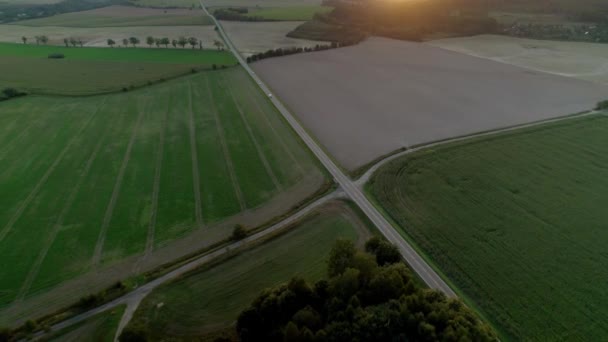 Een Drone Shot Van Een Platteland Natuurlijke Oogst Land Dag — Stockvideo