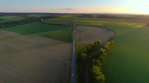 Aerial Näkymä Kulkee Autoja Maaseudun Maisemaa Aloilla Vihreä Luonto Taustalla — kuvapankkivideo