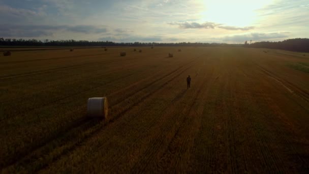 Vidsträckta Fält Och Blå Skymningshimmel Solnedgångsljus Jordbruksområdet Videor Man Går — Stockvideo