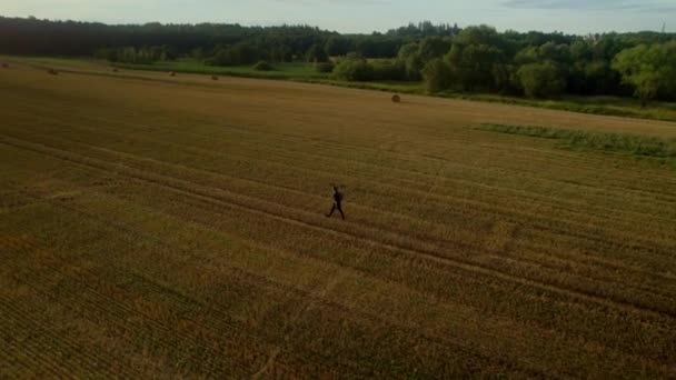 Hasattan Sonra Tarlada Yürüyen Bir Adamın Hava Aracı Görüntüsü Geniş — Stok video