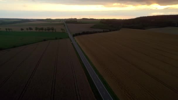 Lucht Drone Schot Een Landelijke Weg Tussen Velden Van Rijpe — Stockvideo