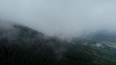Soğuk sisli bir sabahta yoğun karanlık ormanlarla kaplı dağlar. Yağmurlu bir günün ardından beyaz buharlaşma buhara dönüşüyor. İnsanlar olmadan gizemli doğanın havadan görünüşü.
