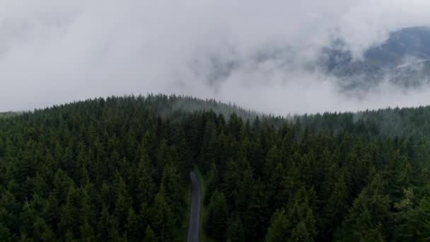 晨雾中的森林和小山 丛林路航拍 — 图库视频影像