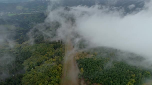 Канатные Дороги Поднимались Лесным Холмам Холодный День Покрытые Густым Туманом — стоковое видео