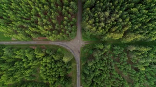 Aerial Bird Eye View Crossroad Two Roads Middle Dense Green — Stockvideo