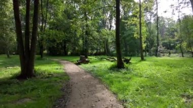 Güneşli bir günde yeşil çimenler ve uzun ağaç ormanları arasında yürürken vuruldu..
