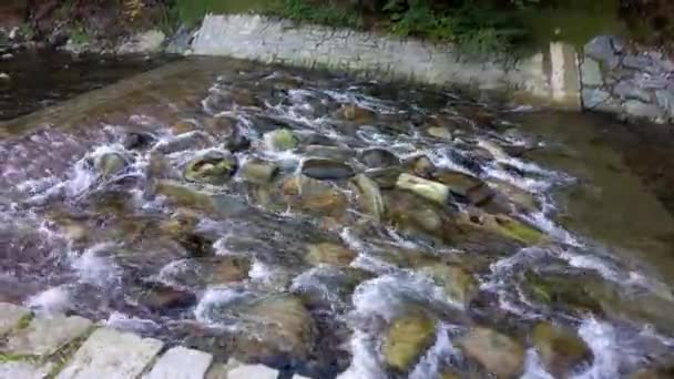 一条河在石头上静止不动地流过 干净的河水 — 图库视频影像