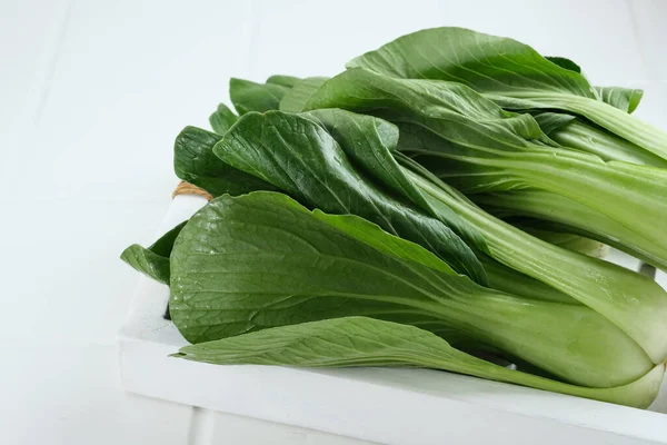 Biológica Fresca Bok Choy Pak Choi Pakcoy Brassica Rapa Subsp — Fotografia de Stock