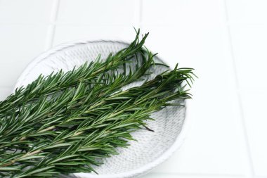 Beyaz arka planda biberiye otları. Boşluğu ve seçici odak resmini kopyala.