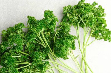 Beyaz arka planda izole edilmiş taze organik maydanoz bitkisi. Kapat ve boşluğu kopyala.