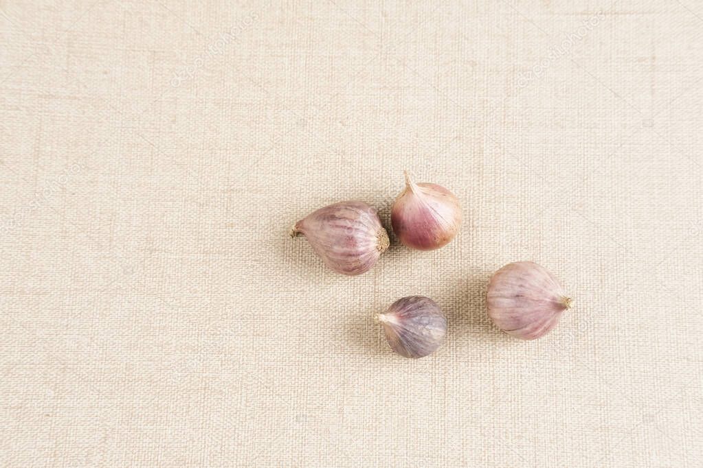Single clover garlic or pearl garlic or solo garlic (Bawang putih tunggal) variety of Allium sativum. Served in small bowl, selective focus image, copy space.