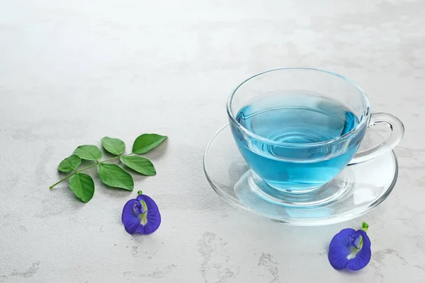 Teh Telang Pillangó Virágtea Vagy Kék Tea Clitoria Ternatea Növény — Stock Fotó