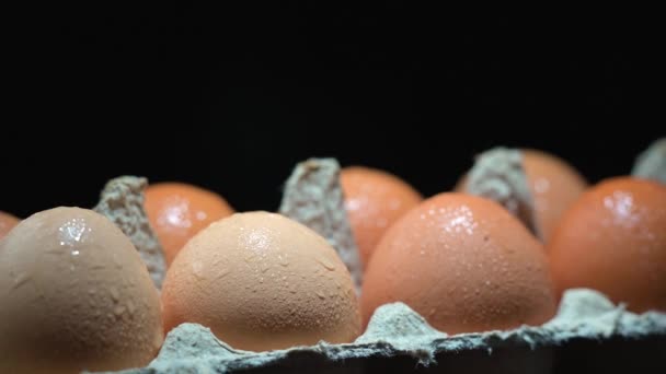 Œufs recouverts de gouttes d'eau fermer dans un récipient de protection des œufs sur fond noir. Premier plan et fond dans le flou. Focus au centre. — Video