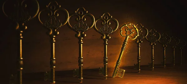Many Metal Keys One Golden Key — 스톡 사진