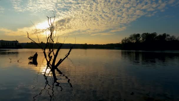Spektakulär Solnedgång Över Floden — Stockvideo