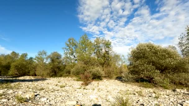 Paisagem Verão Parque Nacional Ticino — Vídeo de Stock