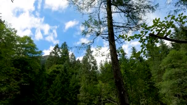 Panoramica Lago Nelle Dolomiti Italiane — Video Stock