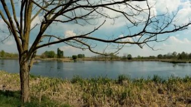  Kuğu Gölü 'nde yaz manzarası - 5K